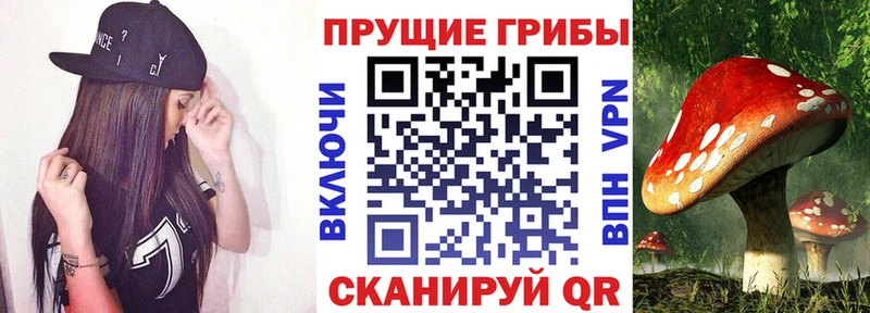 МЕГА как войти  Туран  Галлюциногенные грибы MAGIC MUSHROOMS 